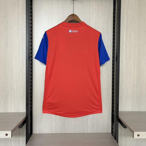 Camisa Bahia Comemorativa Superman 2025/2026