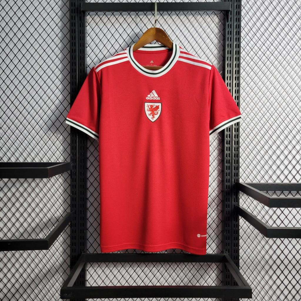 Camisa Seleção País de Gales I 2022/2023