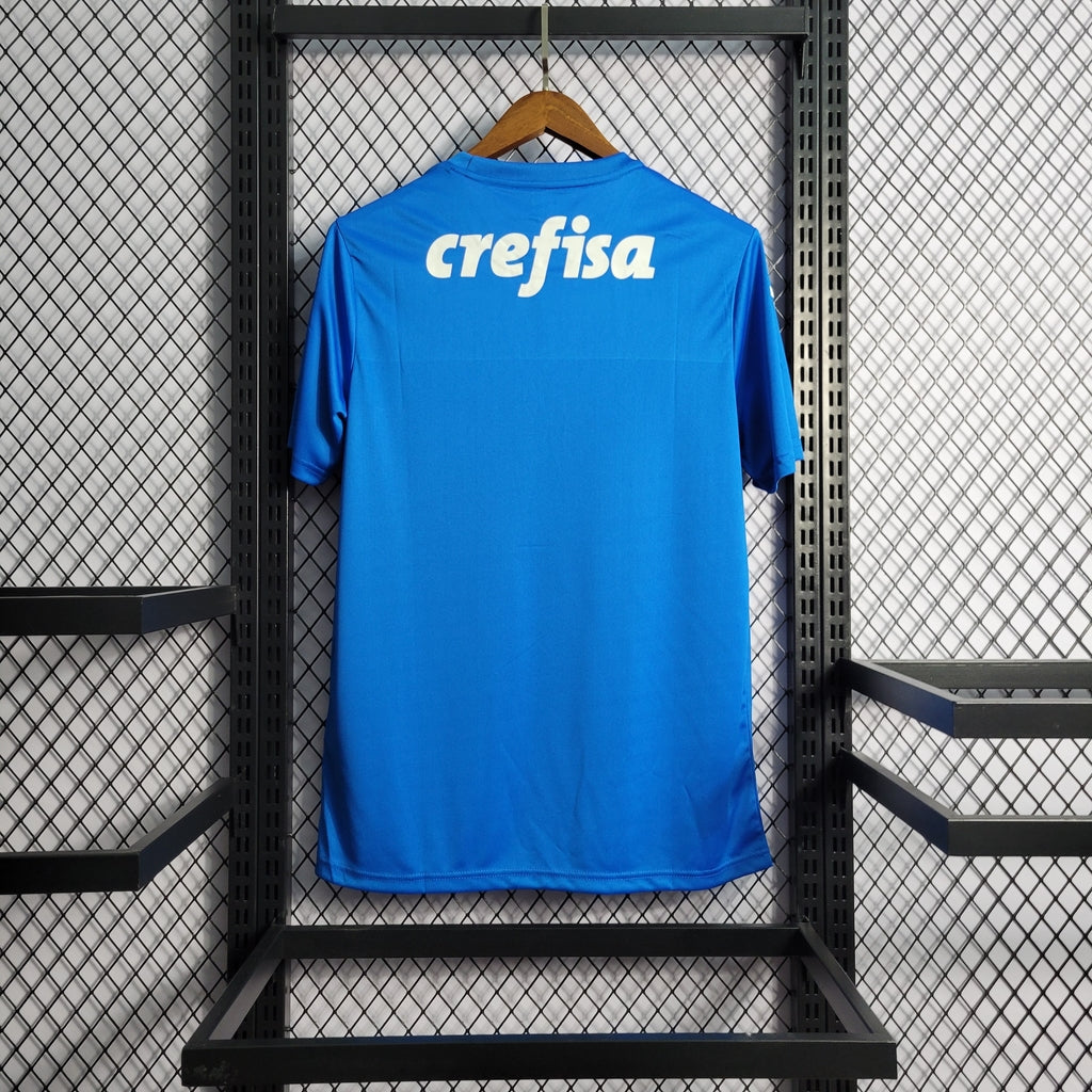 Camisa Palmeiras I Goleiro 2022/2023