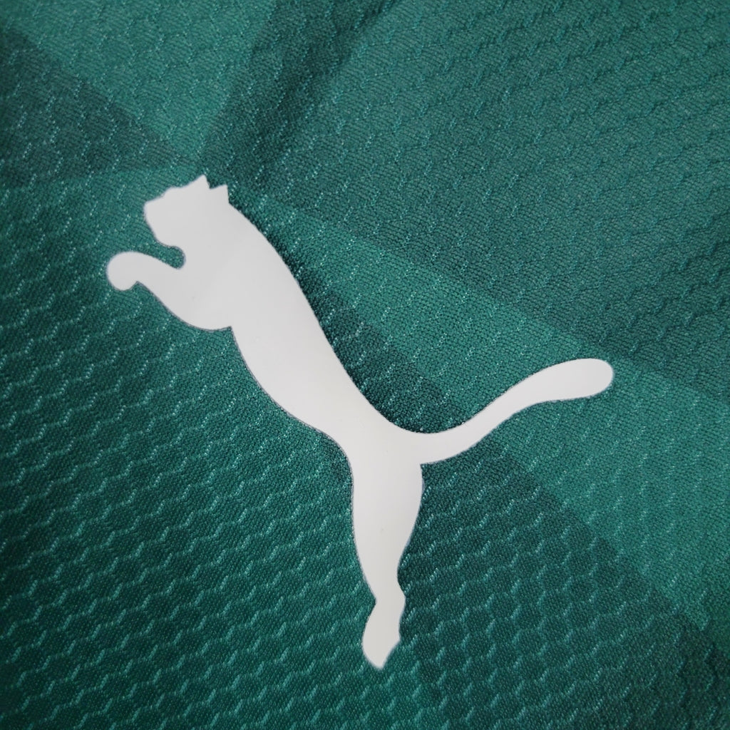 Camisa Palmeiras I 2023/2024