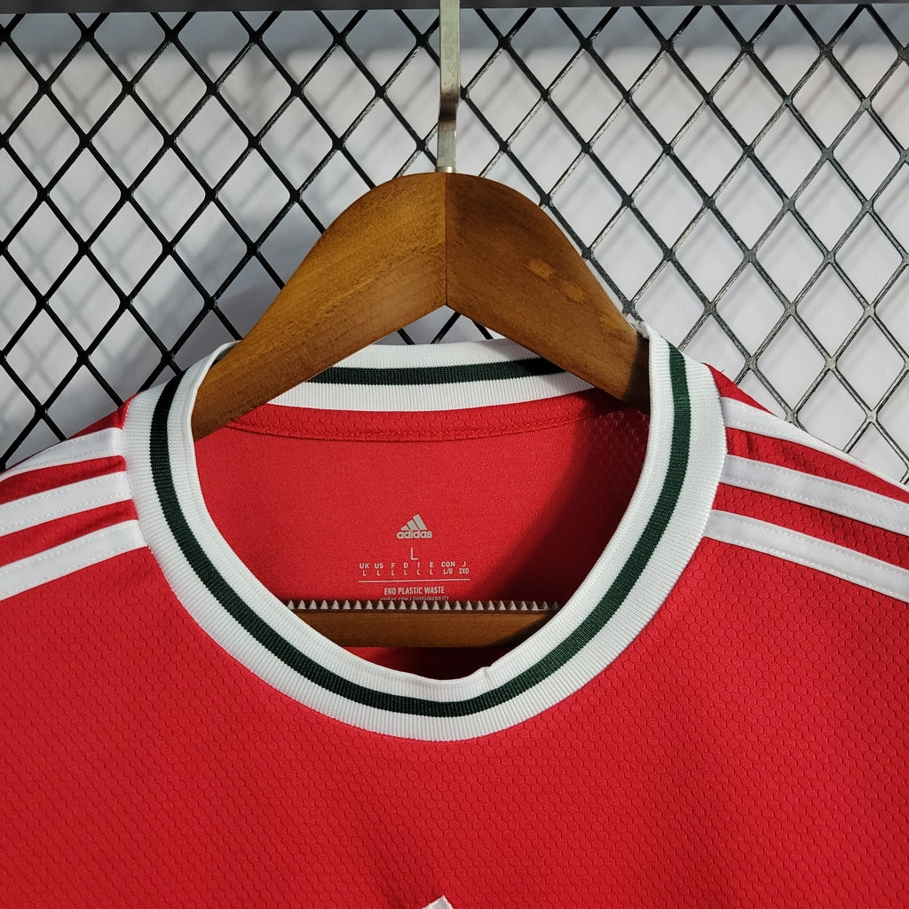 Camisa Seleção País de Gales I 2022/2023