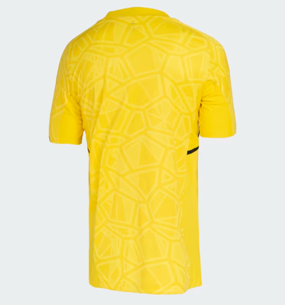 Camisa Internacional Goleiro I 2023/2024