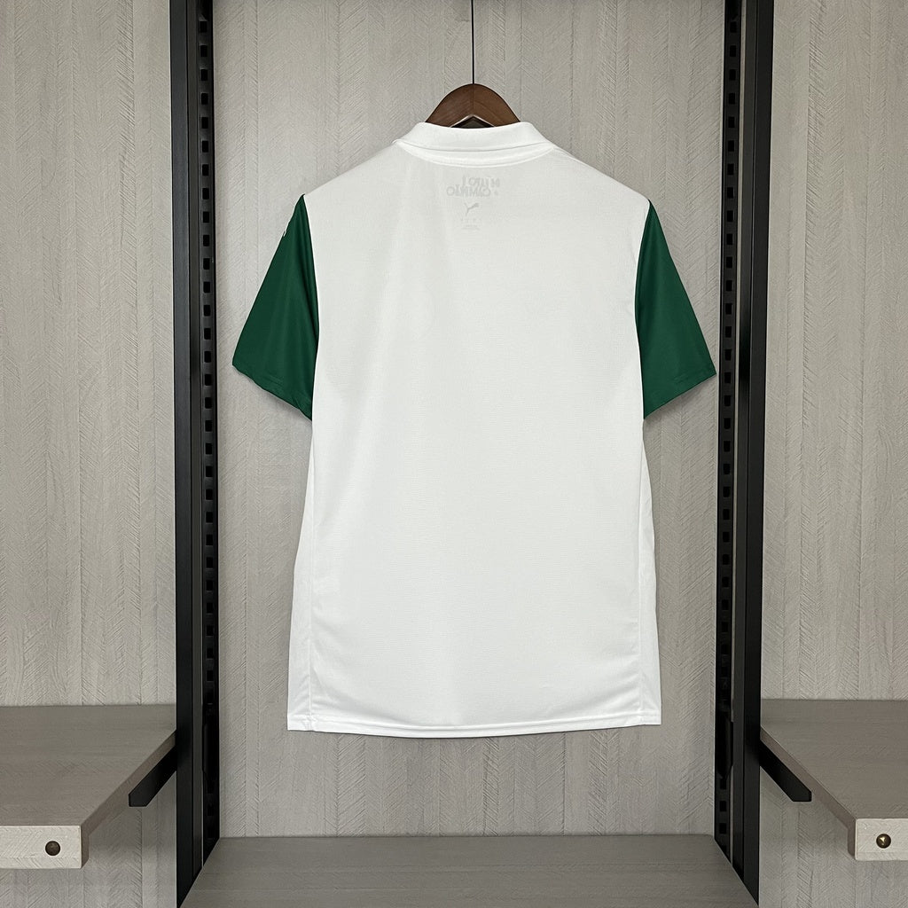 Camisa Palmeiras II 2025/2026