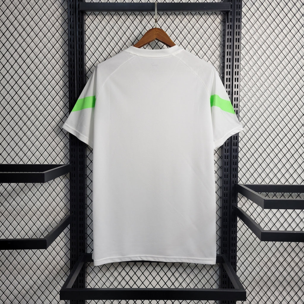 Camisa Palmeiras Treino II 2023/2024