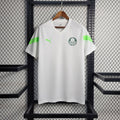 Camisa Palmeiras Treino II 2023/2024